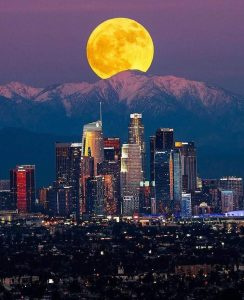  nikon's 200-500mm f/5.6: (Best lens for moon photography Nikon)