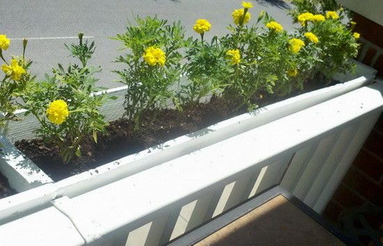 „Pasidaryk pats“ denio bėgių plantatorius, pagamintas iš padėklo_11