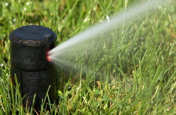 cap de sprinkler comun de acasă